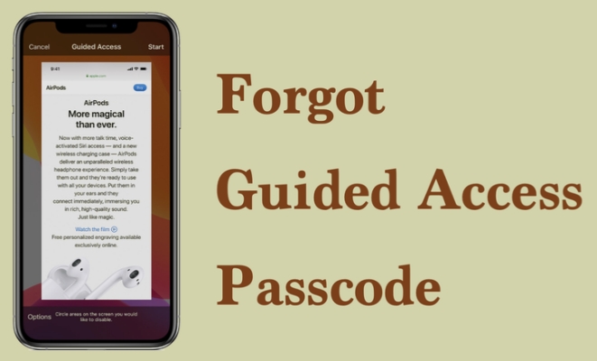 forgot guided access passcode