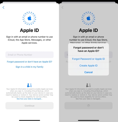 forgot password or apple id on new iphone