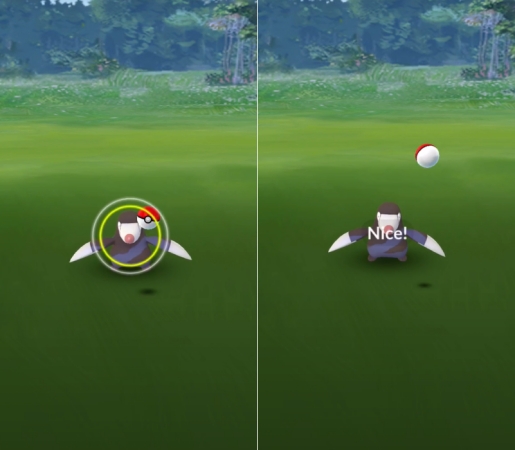 get nice throw in pokemon