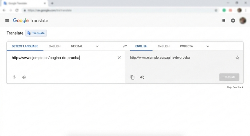 google translate