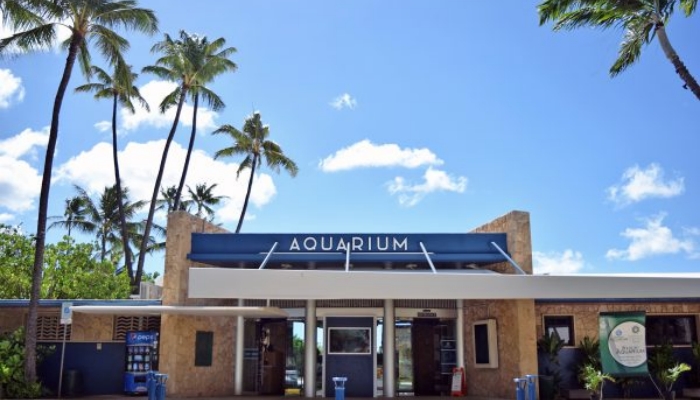 hawaii waikiki aquarium