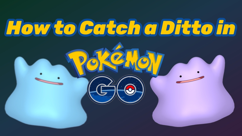 how to catch a ditto in pokemon go