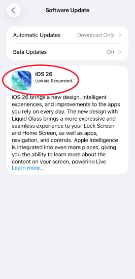 iphone stuck on update requested