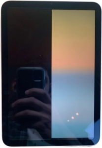 ipad black screen but still on