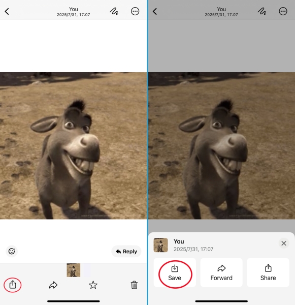 download whatsapp photos manually