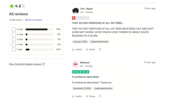 itoolab anygo trustpilot review