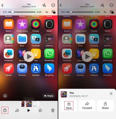 download whatsapp video manually