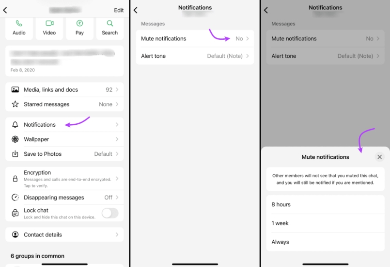 mute whatsapp messages from contact