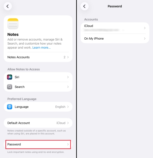 notes password setting on iphone