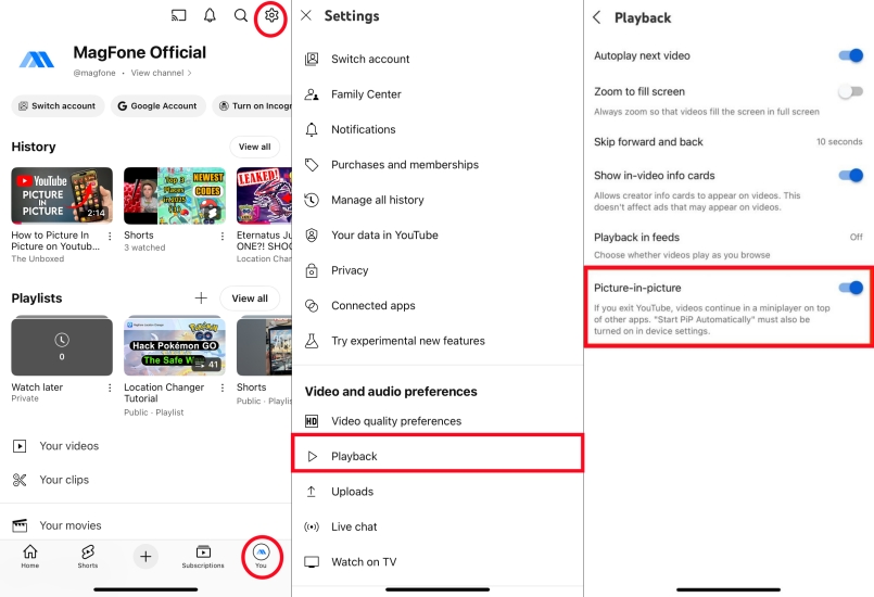 enable youtube picture in picture on iphone