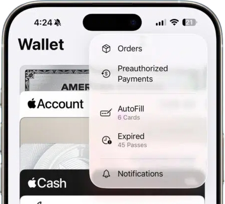 preauthorized payments in wallet ios 26