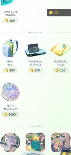 purchase team medallion