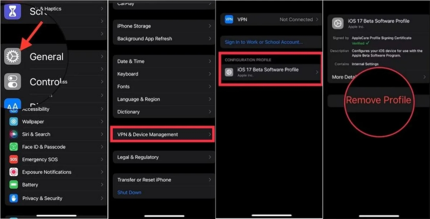 remove beta version on iphone