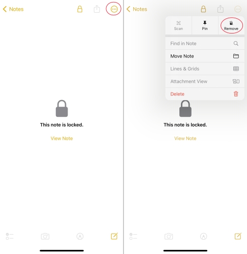 remove password protection from notes