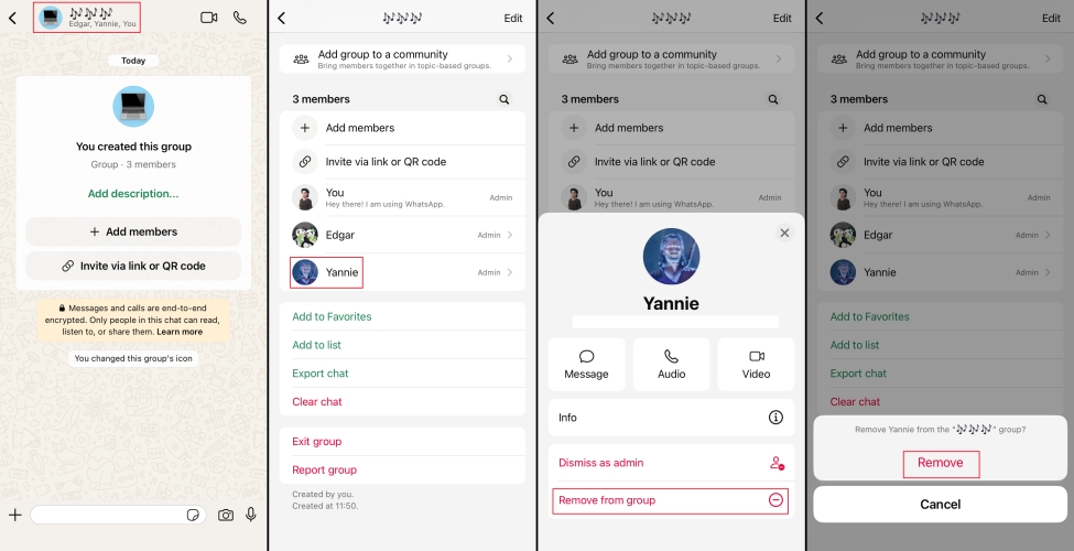 remove someone from whatsapp group