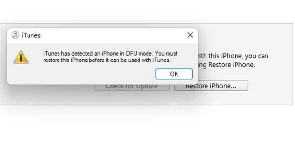 restore iphone with itunes in dfu mode
