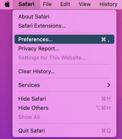 safari preferences