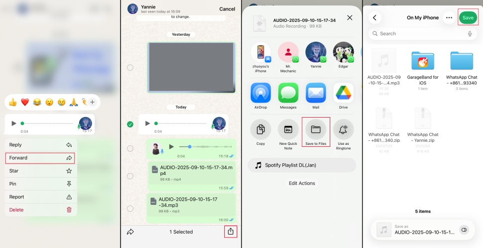 save audio from whatsapp via share on iphone