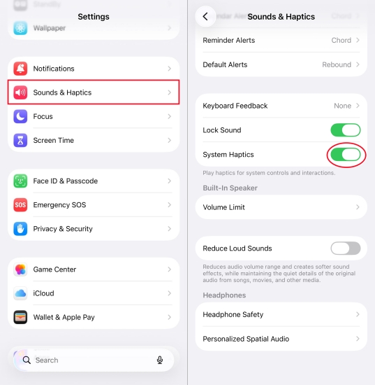 set system haptics on iphone