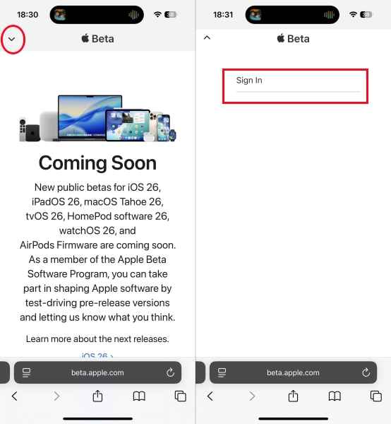 sign in apple beta software program