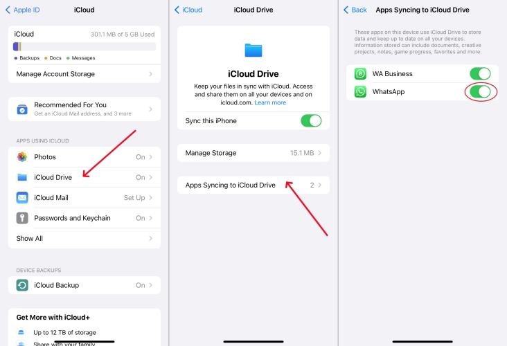 sync whatsapp to icloud