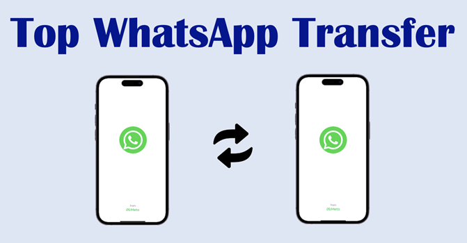 top 10 whatsapp transfer tool