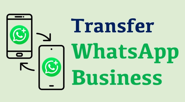 transfer whatsapp business