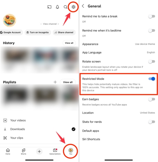 turn off youtube restricted mode