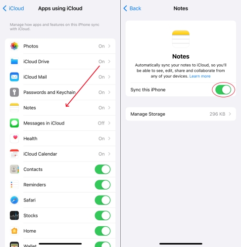 turn on note access in icloud