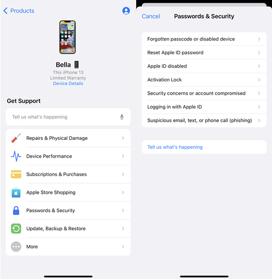 reset apple id password in apple support on iphone