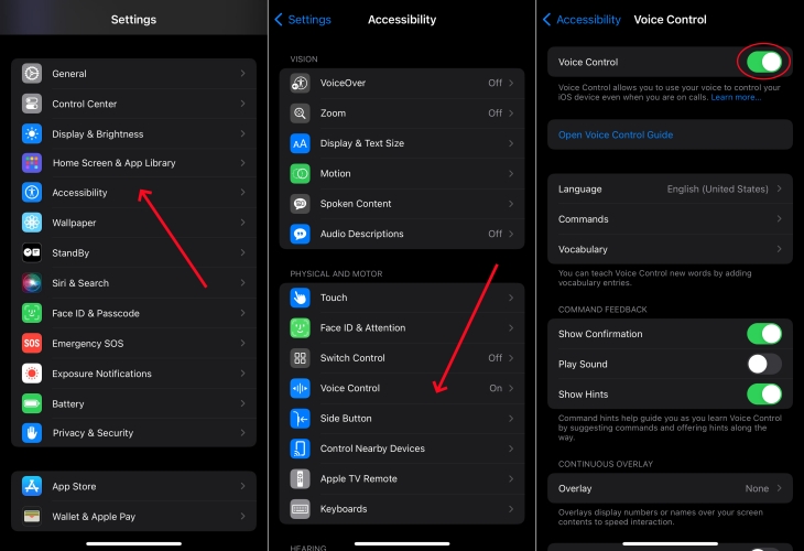 turn off voice control on iphone