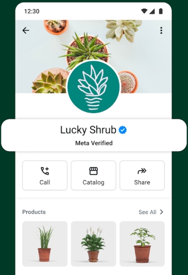 whatsapp business verification