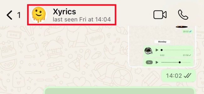 see whatsapp last seen on iphone