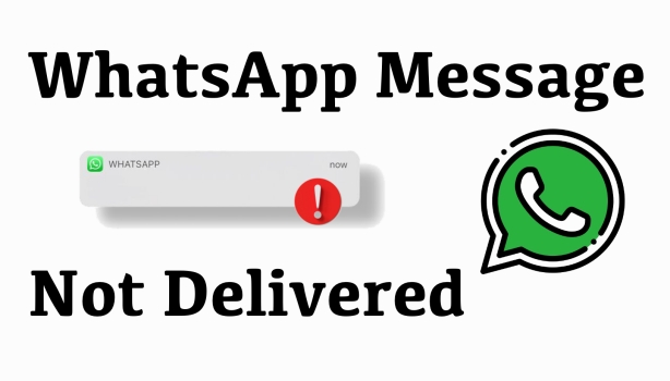 fix whatsapp message not delivered