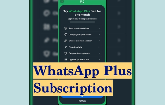 whatsapp plus subscription