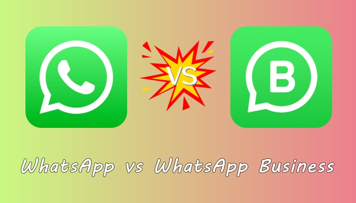 whatsapp vs whatsapp business