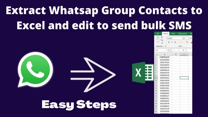 how to extract whatsapp group contacts to excel